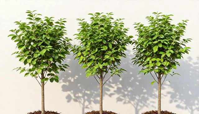 果树种植中性能表现的5大检查要点